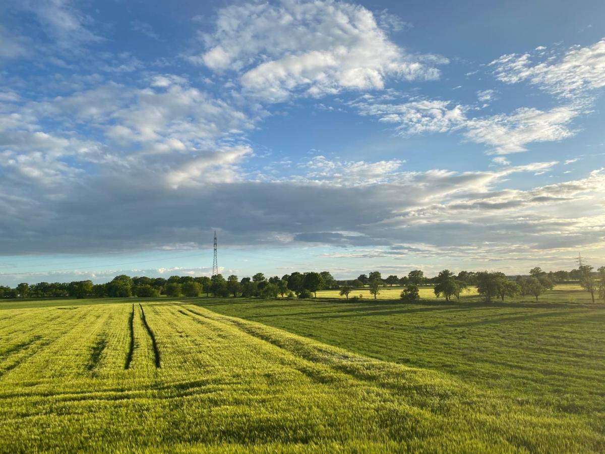 Ferienwohnung Bock Im Seenland Hoyerswerda Exteriör bild